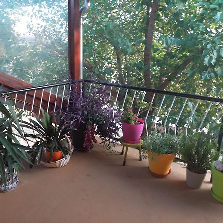 Apartmani Corleone Bilice Exteriér fotografie