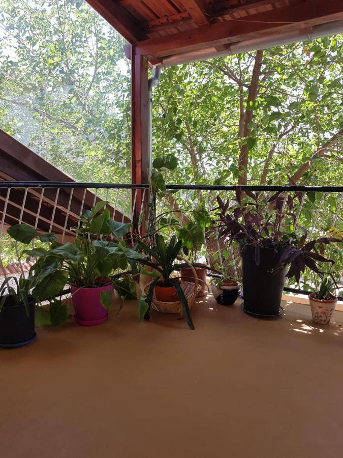 Apartmani Corleone Bilice Exteriér fotografie